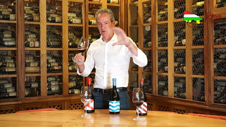 Catas de Vino en Las Navas del Marqu&eacute;s: Gu&iacute;a de los Mejores Lugares