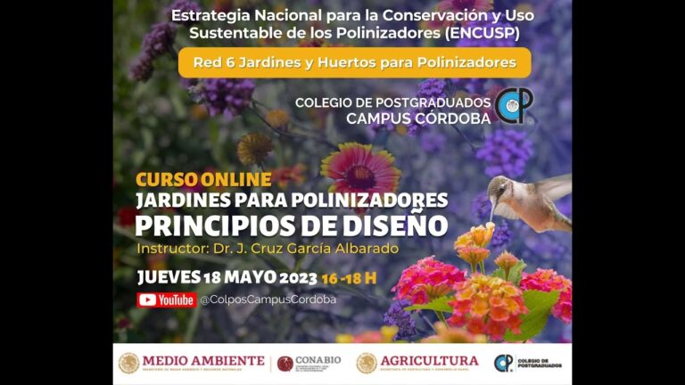 Cursos de Jardinería Disponibles en Arévalo