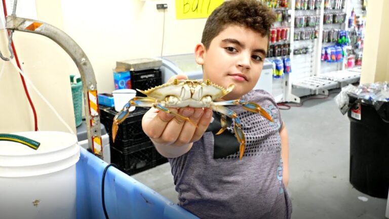 Guía para Comprar Arte Local en El Barco de Ávila