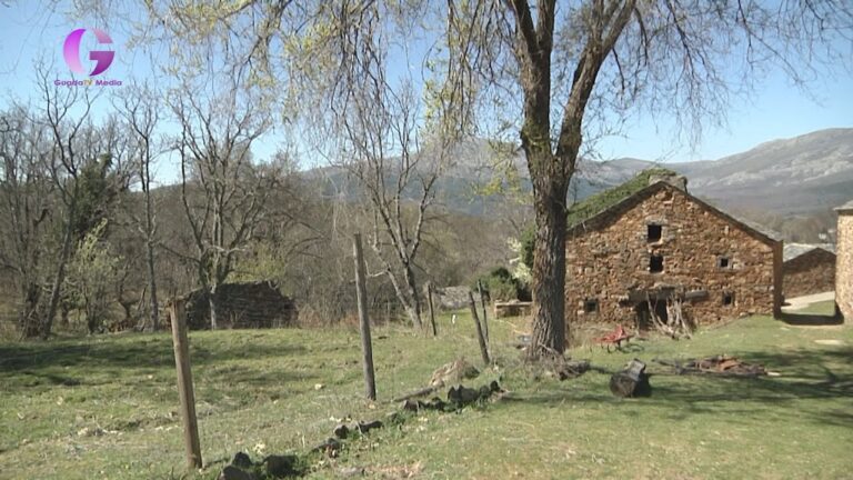 Actividades de Voluntariado en Candeleda