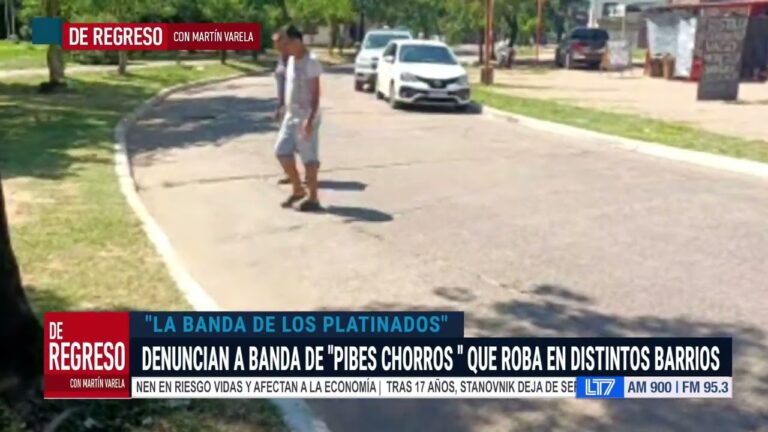 Gu&iacute;a pr&aacute;ctica ante robos en la v&iacute;a p&uacute;blica en &Aacute;vila