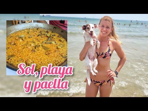 Playas para perros cerca de &Aacute;vila: Gu&iacute;a completa