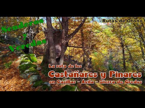 Rutas de Senderismo Imperdibles en El Tiemblo