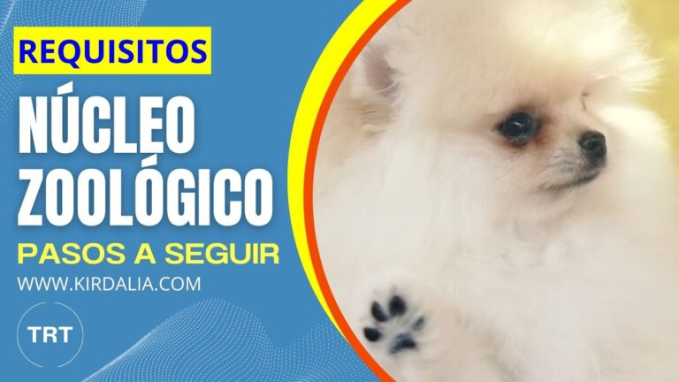Requisitos para Abrir una Peluquer&iacute;a en &Aacute;vila