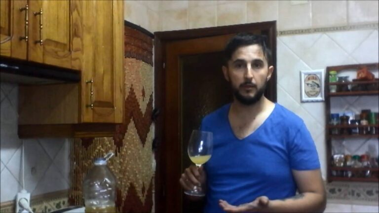 Guía de Catas de Vino en Piedrahíta